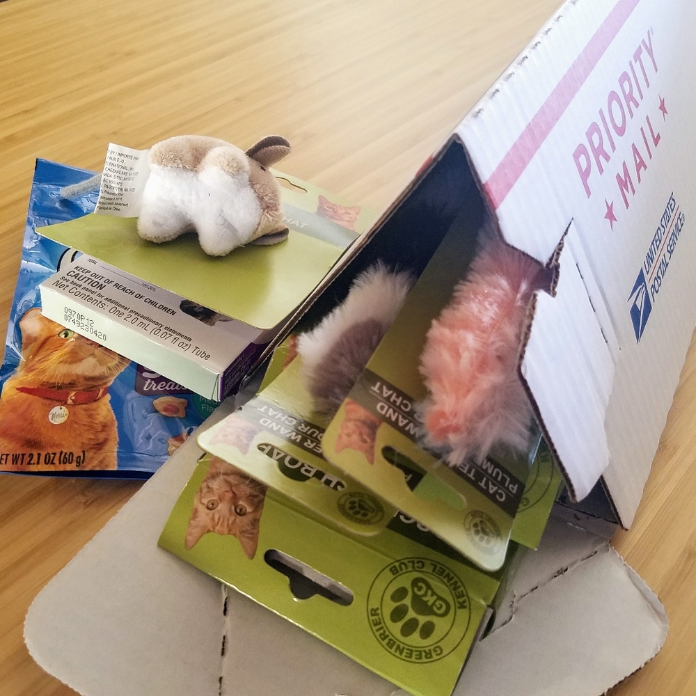 Cat Box 7 Items plus BOX